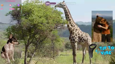 Tomaz62a online show from October 30, 2025, 8:42 pm