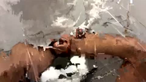 Dr. Dick online show from November 24, 2025, 3:45 pm