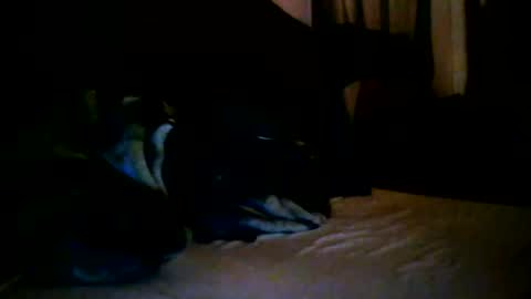 tommy mackz online show from March 2, 2026, 5:08 am