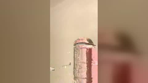 tommygun4969 online show from February 5, 2026, 12:37 am