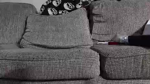 tomnor13 online show from March 9, 2026, 5:22 am