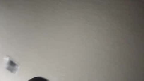 Snapshot of tomthebomb347 chatting on November 17, 2025, 12:16 am tomthebomb347 online show from November 17, 2025, 12:16 am