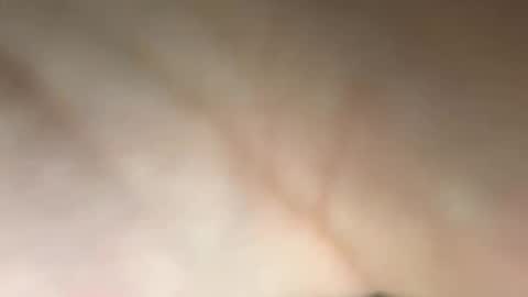 Snapshot of tomusa2 chatting on September 14, 2025, 4:50 pm tomusa2 online show from September 14, 2025, 4:50 pm