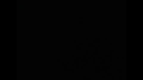 tony online show from February 24, 2026, 1:25 am