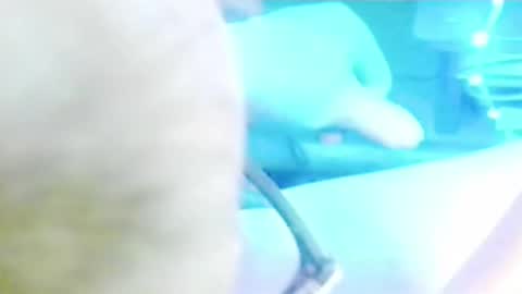 tornne online show from April 2, 2026, 12:14 pm