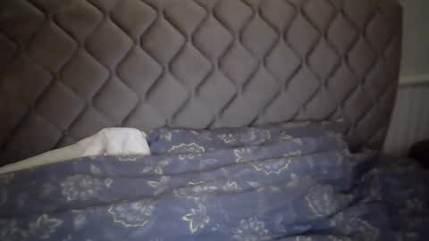 Snapshot of torrino12 chatting on January 6, 2025, 3:20 am torrino12 online show from January 6, 2025, 3:20 am