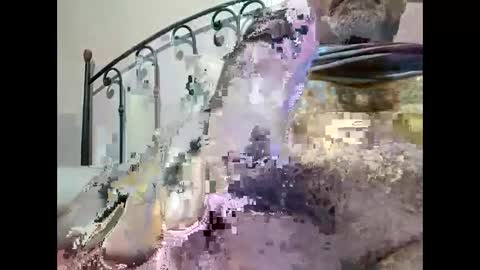 Snapshot of tra649167 chatting on December 23, 2024, 9:40 pm tra649167 online show from December 23, 2024, 9:40 pm