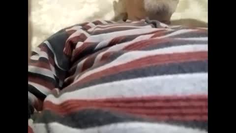 Snapshot of tra649167 chatting on February 9, 2025, 8:02 pm tra649167 online show from February 9, 2025, 8:02 pm