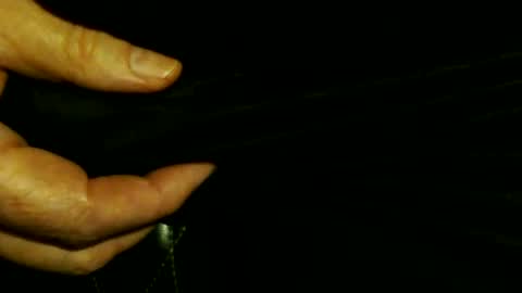 trailblazer1969 online show from October 8, 2025, 3:59 am