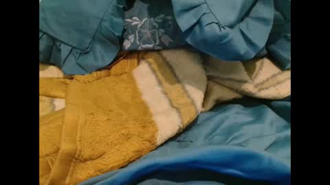 transexdotada online show from November 23, 2025, 11:26 pm