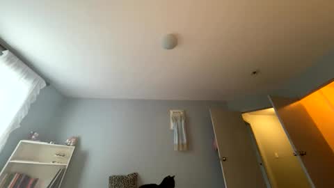 transgirl007 online show from May 24, 2026, 10:04 pm