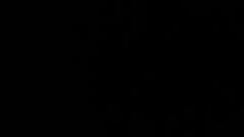 Snapshot of treeguyroc chatting on March 5, 2026, 2:40 am treeguyroc online show from March 5, 2026, 2:40 am