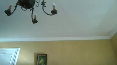 trekbeestje online show from April 8, 2026, 7:52 am