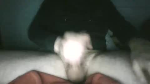 Snapshot of trekkertje666 chatting on January 25, 2025, 8:00 am trekkertje666 online show from January 25, 2025, 8:00 am