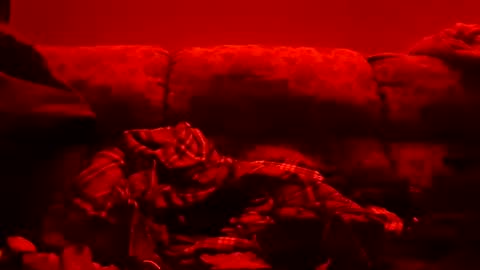 Snapshot of tretrix5588 chatting on January 11, 2025, 10:51 am tretrix5588 online show from January 11, 2025, 10:51 am