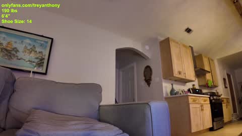 Snapshot of treyanthony chatting on January 7, 2025, 12:24 am decentanthony online show from January 7, 2025, 12:24 am