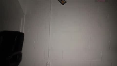 treyyzaddyy online show from February 26, 2026, 5:28 am