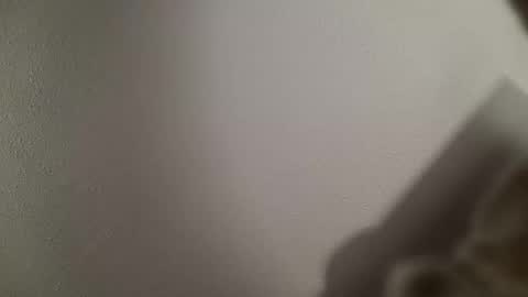 trinicdn online show from October 25, 2025, 8:22 am