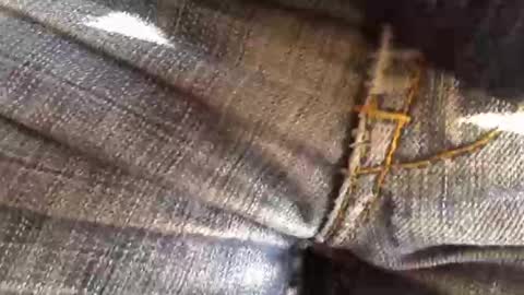 trobelle online show from November 18, 2025, 11:36 am