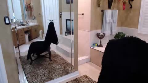 Snapshot of trophywifey chatting on February 19, 2026, 8:21 am Trophy Wifey iframe src height528 width850 s online show from February 19, 2026, 8:21 am