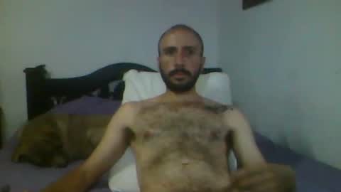 Snapshot of troytis chatting on November 16, 2025, 10:26 pm Troy online show from November 16, 2025, 10:26 pm