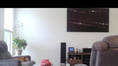 truckdoc26 online show from October 11, 2025, 8:29 pm