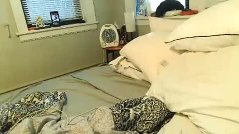 Amber White online show from February 1, 2026, 2:37 pm