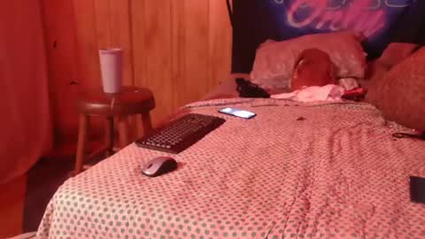 TsNitra online show from February 11, 2025, 12:17 am