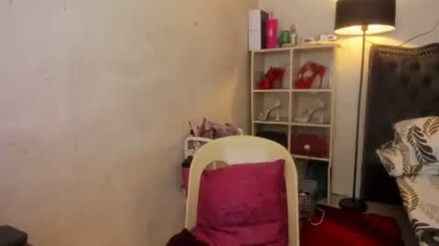 Snapshot of tsvanilla chatting on January 23, 2025, 11:58 am Frankie online show from January 23, 2025, 11:58 am