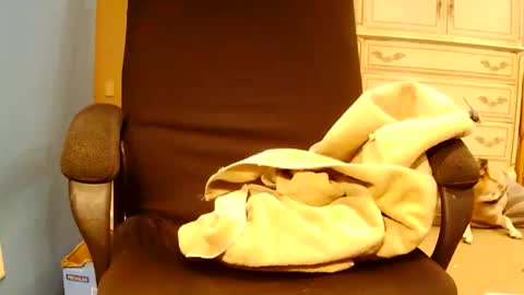 Turnmetrans online show from March 17, 2026, 9:51 pm