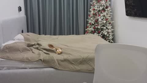 Snapshot of tutti_frutti_ chatting on December 30, 2024, 12:11 am Ariana online show from December 30, 2024, 12:11 am