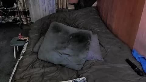 Lana online show from March 6, 2025, 10:30 am