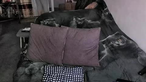 Lana online show from March 20, 2026, 11:31 pm