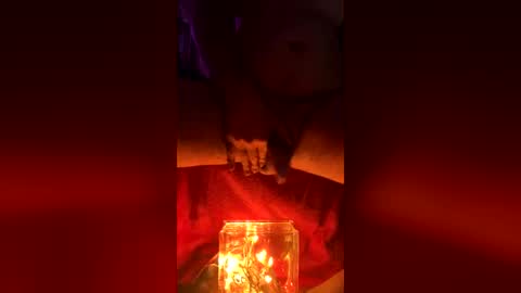 twe4kseeker online show from July 16, 2026, 3:23 am