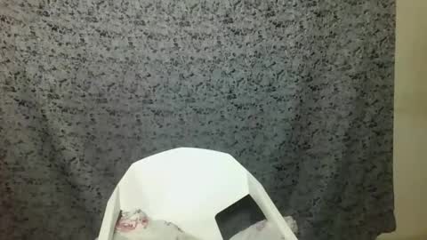 twerker_lyly online show from October 7, 2025, 7:00 pm