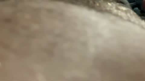 twotims12 online show from November 24, 2025, 7:57 pm