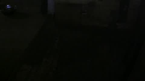 Snapshot of txhung1 chatting on February 24, 2026, 12:52 am txhung1 online show from February 24, 2026, 12:52 am