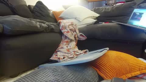 tysonjameson online show from December 20, 2024, 2:27 pm