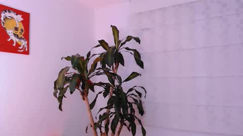 Martina online show from October 11, 2025, 1:49 am