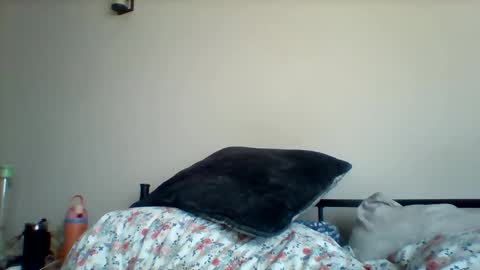 Snapshot of uncircumcise30 chatting on March 19, 2026, 12:53 pm uncircumcise30 online show from March 19, 2026, 12:53 pm