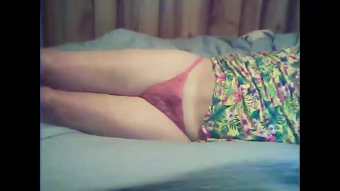 Snapshot of upsman75 chatting on February 20, 2025, 7:52 pm Dreamdaddy49 online show from February 20, 2025, 7:52 pm