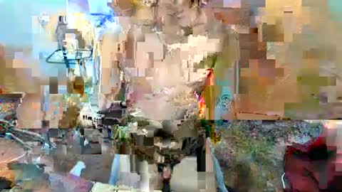 hello your sweetgirl thallea  online show from February 2, 2025, 6:04 am