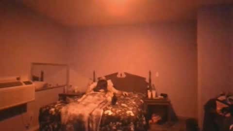 us24u888 online show from November 21, 2025, 2:21 am