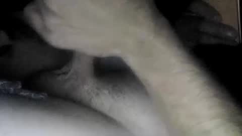 Slave bitch online show from April 22, 2026, 10:06 am