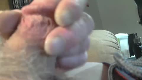 Snapshot of usmcmark63 chatting on February 19, 2025, 8:31 pm lookin for free fun online show from February 19, 2025, 8:31 pm