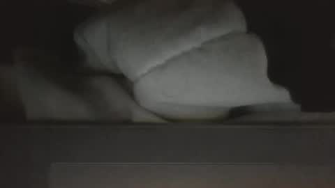 vafreakazoid online show from April 4, 2026, 1:37 am