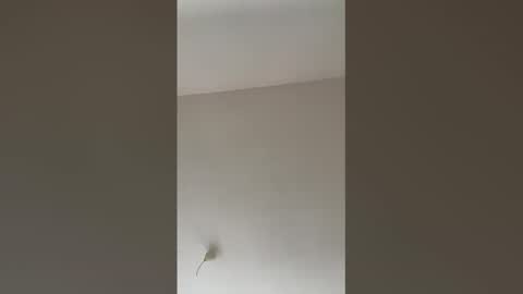 Snapshot of valerianleclercq2025 chatting on February 27, 2026, 4:07 pm valerianleclercq2025 online show from February 27, 2026, 4:07 pm