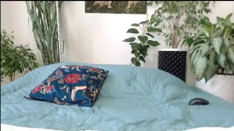 Mollyy Valentine online show from April 23, 2026, 9:08 am