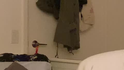 Snapshot of vanessapark chatting on December 24, 2024, 10:33 am Vanessa  online show from December 24, 2024, 10:33 am