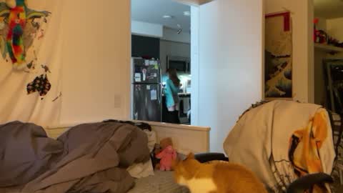 Snapshot of vanessapark chatting on January 4, 2025, 3:07 pm Vanessa  online show from January 4, 2025, 3:07 pm